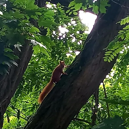 شقة With Small Tub