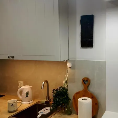 Apartment With Small Tub *